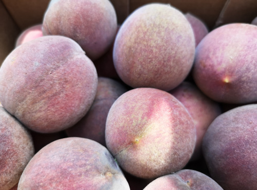 Maison Goubet - Pêches de vigne BIO de la Drôme 2.5 Kg