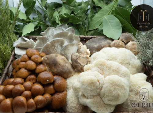 Naturélium - Panier Sous-Bois