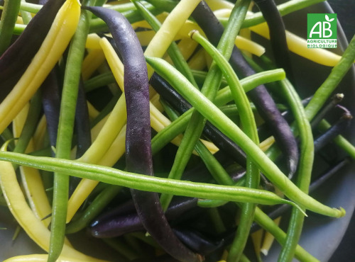 Ferme de Carcouet - Haricots Vert et Beurre Bio - 500 g