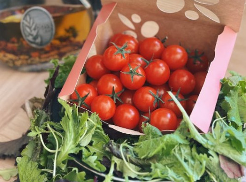 Agriloops - Tomates cerises rondes – Barquette 250 g