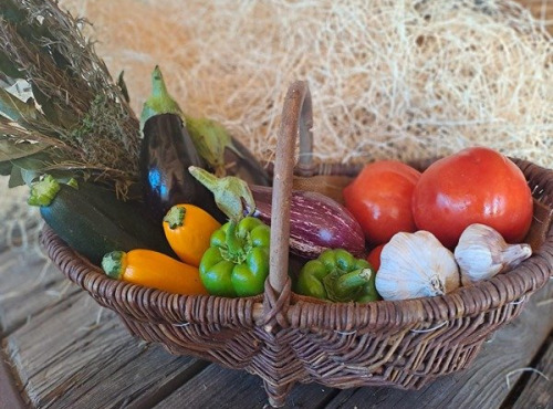 Les Jardins de Gérard - Panier ratatouille Bio - 6 personnes