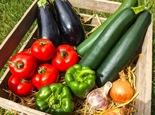 Ferme Joos - Panier Ratatouille 4 pers - 3 kg
