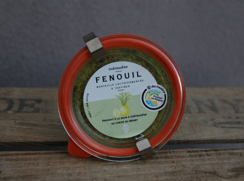 ChâteauFer - Tartinade de fenouil - Lactofermentation