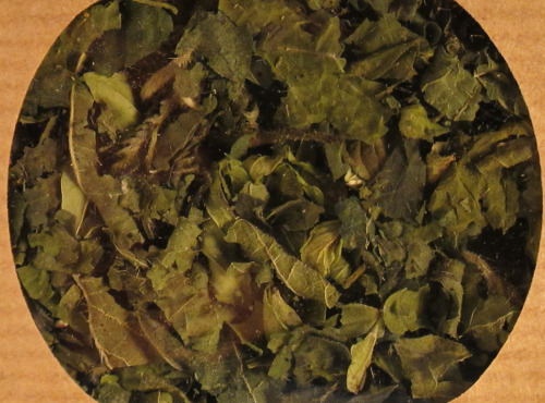 Les Jardins du Mas de Greil - Menthe Verte, Feuilles Séchées