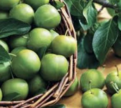 L’Oliveraie du Coudon - PRUNES REINE CLAUDE 5KG