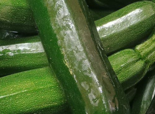 Ferme Joos - Courgette - 10kg