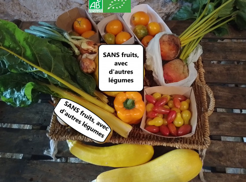 LES JARDINS DE KARINE - PANIER modulable / Légumes bio JAUNE ORANGE