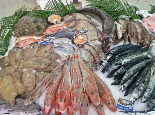 Télémaque - 2kg de poisson du jour Surprise