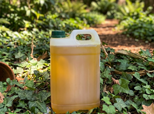 L'OLIVERAIE DU COUDON - Huile de tournesol vierge BIO bidon 5l