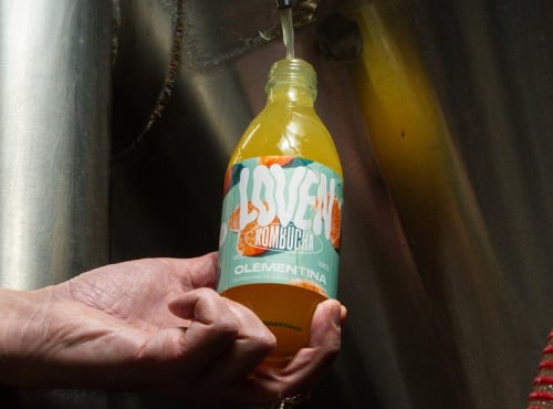 Brasserie L'Indispensable LOVEN Kombucha - Kombucha Clémentina - (Clémentine de Corse & Fève de Tonka) - 6x33cl