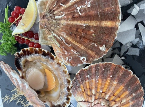 Notre poisson - Coquilles Saint Jacques entières de Normandie - 3kg