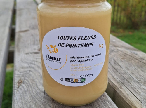 Le Châtaignier - Miel de fleurs de printemps crémeux- 1kg