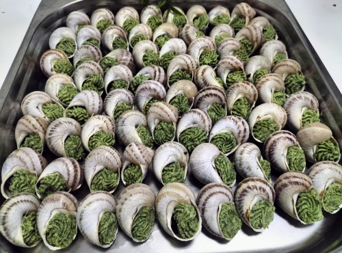 Le Paradis d'Escargot - 10 douzaine Escargots traditionnel a la bourguignon