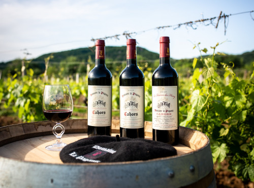 Domaine la Paganie - Coffret de 3 Bouteilles de Vins Rouges - AOC Cahors - 2016, 2017 Et 2019 Réserve Henry