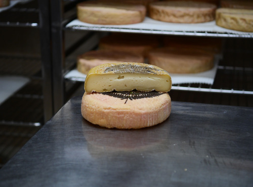 Alléosse Maitre Artisan Affineur Fromager - Filetta de brebis Artisanale affiné (entier)