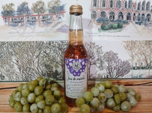 Cave Creuzet - Les Caves aux Caux - Pur jus de raisin pétillant 33cL - sans alcool - Lot de 12