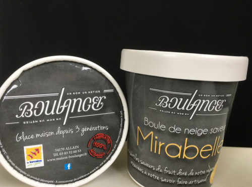 Maison Boulanger - sorbet saveur Mirabelle