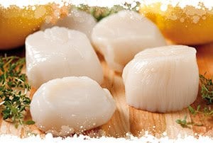 Poissonnerie La Piriacaise - Noix de Saint-Jacques - 200g