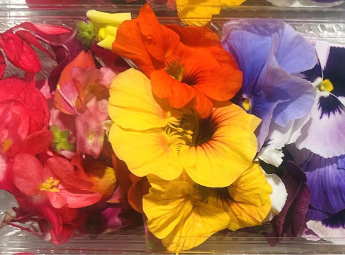 Midiflore - Fleurs comestibles Mix de saison 30g