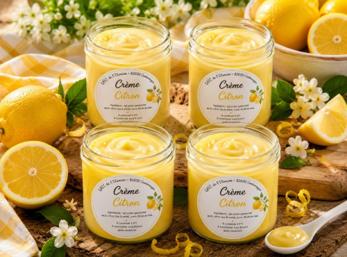 Gaec de l'Elanion - Crème Citron x4