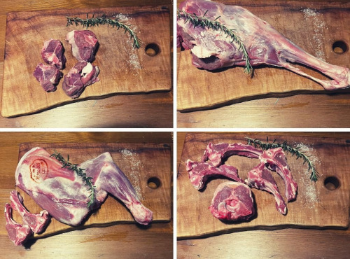 Elevage Friendly Flock - Demi-Chevreau, nourri 100% à l'herbe dans les montagnes