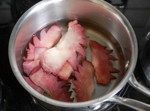 Des Poules et des Vignes à Bourgueil - Crêtes De coq  poule poulet volailles