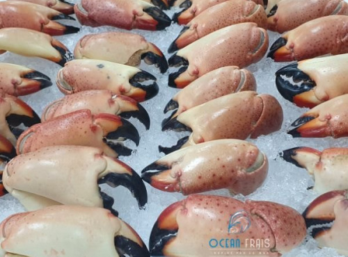 Ocean Frais - Pinces de Tourteau cuites - lot de 500gr