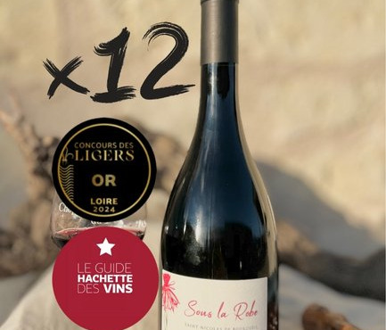 Domaine de la Chopinière du Roy - PROMO 20 % - 12 bouteilles de Sous la robe 2022 vin rouge Saint Nicolas de Bourgueil - 12 x 75 cl