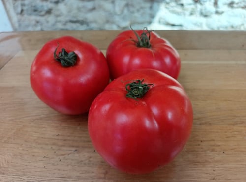 Aux Jardins des Colibris - 1 kg Tomates rondes Bio