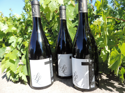 Domaine des Bourrats - Saint Pourçain AOC Rouge Cuvée L.L. - 3 bouteilles