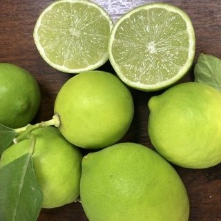 Les Hespérides - Coopérative de la Riviera Française - Lime de Tahiti 3kg