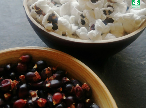 Ferme de Carcouet - Maïs Pop-Corn Bio - 500 g