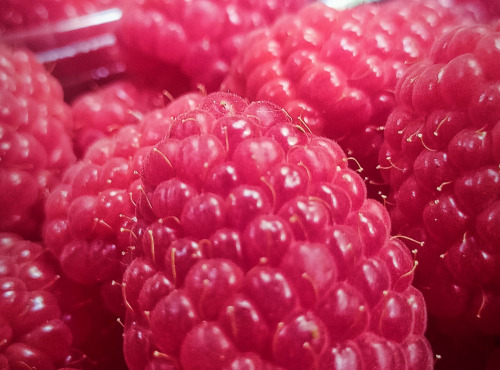 Ferme Joos - Framboises de terre - barquette de 250gr