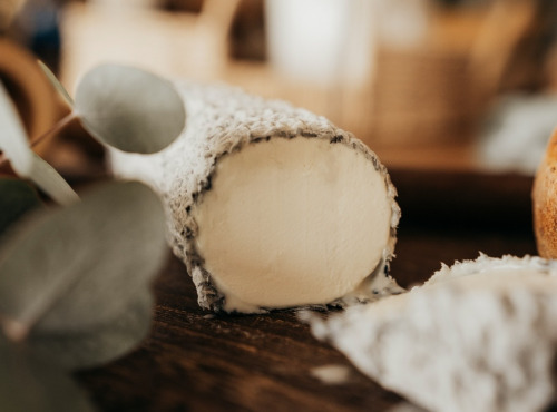 Morgane Man - Histoire de chèvres - Bûchette de chèvre cendrée au lait cru entier 250g