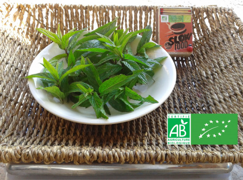 LES JARDINS DE KARINE - Menthe douce fraîche - 25g