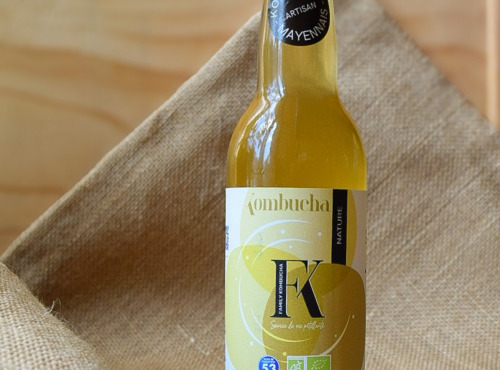 Dégustonfoin - 6 x Kombucha "Original" BIO 33cl