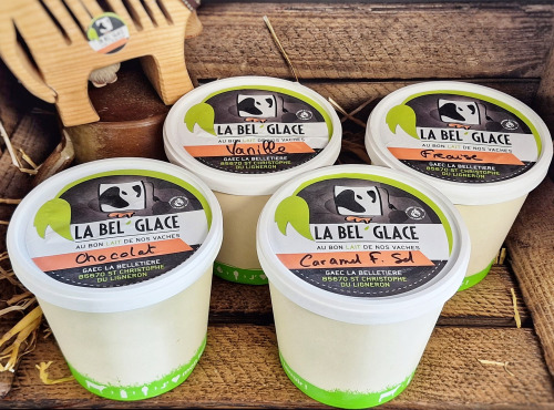 La Bel'glace - Pack glaces familial 4x1L