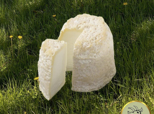 Fromagerie des Gors - Chabichou du Poitou AOP