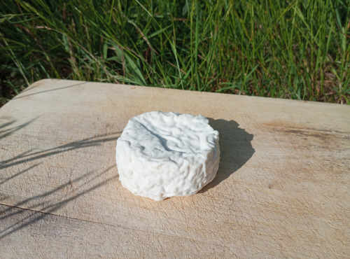 Ferme Ho'Rocher - Le Ferrandon - Vache demi-sec 150g