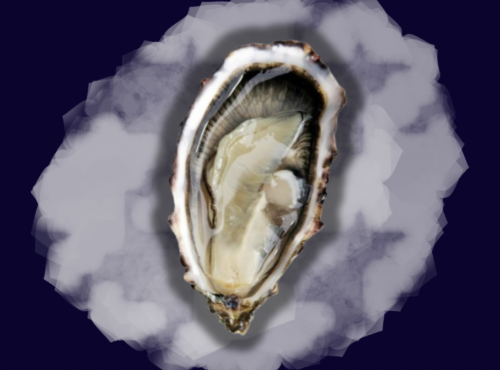 Le Termer - Huîtres de Normandie IGP N°3-180 Pièces "Saveurs de Normandie"