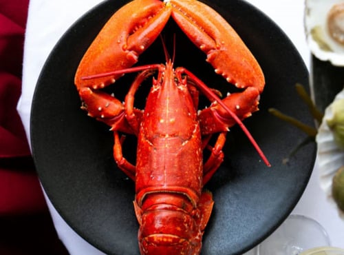 La Paysanne des Mers - Homard cuit - 600g