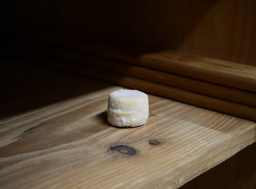 Alléosse Maitre Artisan Affineur Fromager - Crottin de Chavignol AOP au lait cru Frais