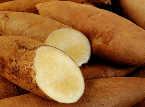 Le Châtaignier - Poire de terre - 500g