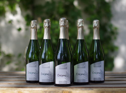 Domaine de l'Ambroisie - Enigme Brut 6x75cl