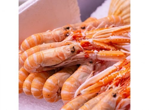 Poissonnerie Paon - Langoustines glacées 20/30 : Lot de 1 kg