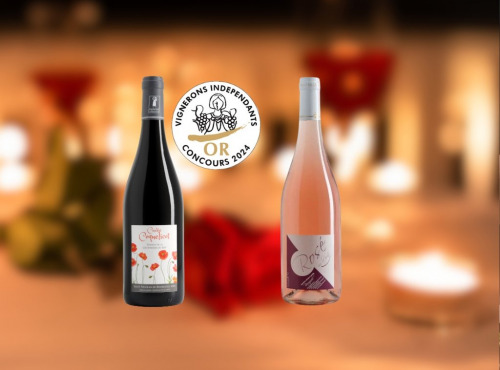Domaine de la Chopinière du Roy - À deux c’est mieux - Coffret Duo vin de Loire Rouge et Rosé Fruité pour couple - 2 x 75 cl