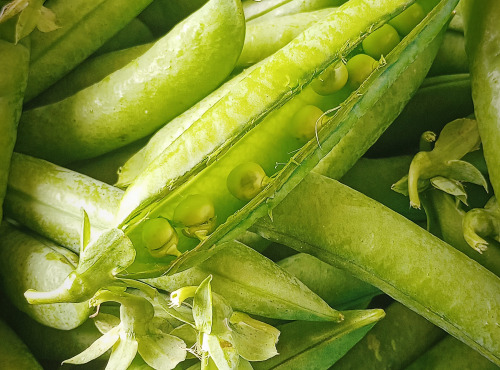 Ferme Joos - Petit pois à écosser - 500 g