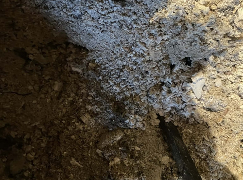 Des Poules et des Vignes à Bourgueil - Cendre de bois