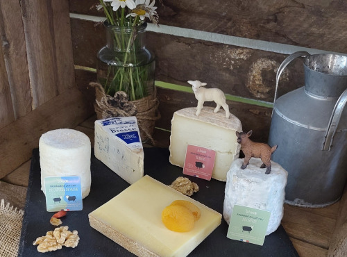 Boutique Boisette - Le plateau « pour tous » 910g