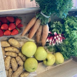 Le Châtaignier - panier moyen printemps